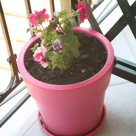 公寓式酒店 Marathes