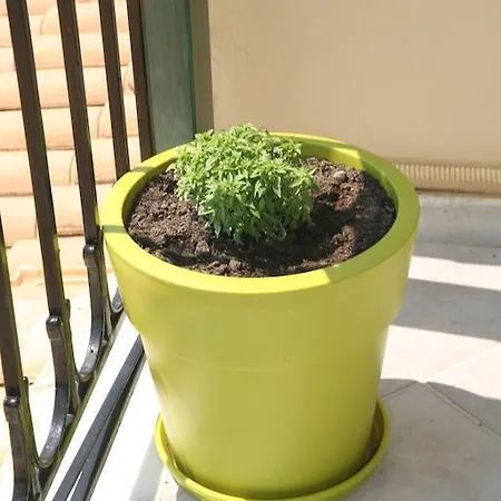 公寓式酒店 Marathes