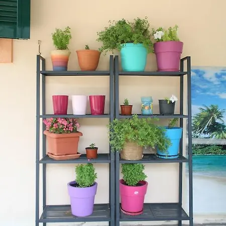 Marathes Áyios Nikítas